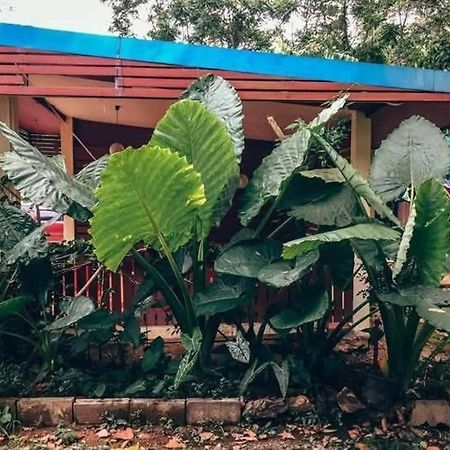Song Pee Nong Resort Phattalung Phatthalung Luaran gambar
