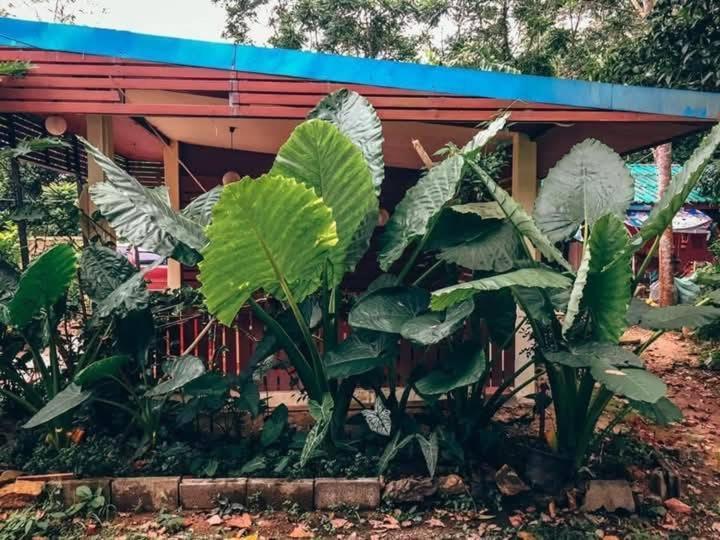 Song Pee Nong Resort Phattalung Phatthalung Luaran gambar